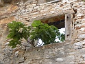 istria2009 236